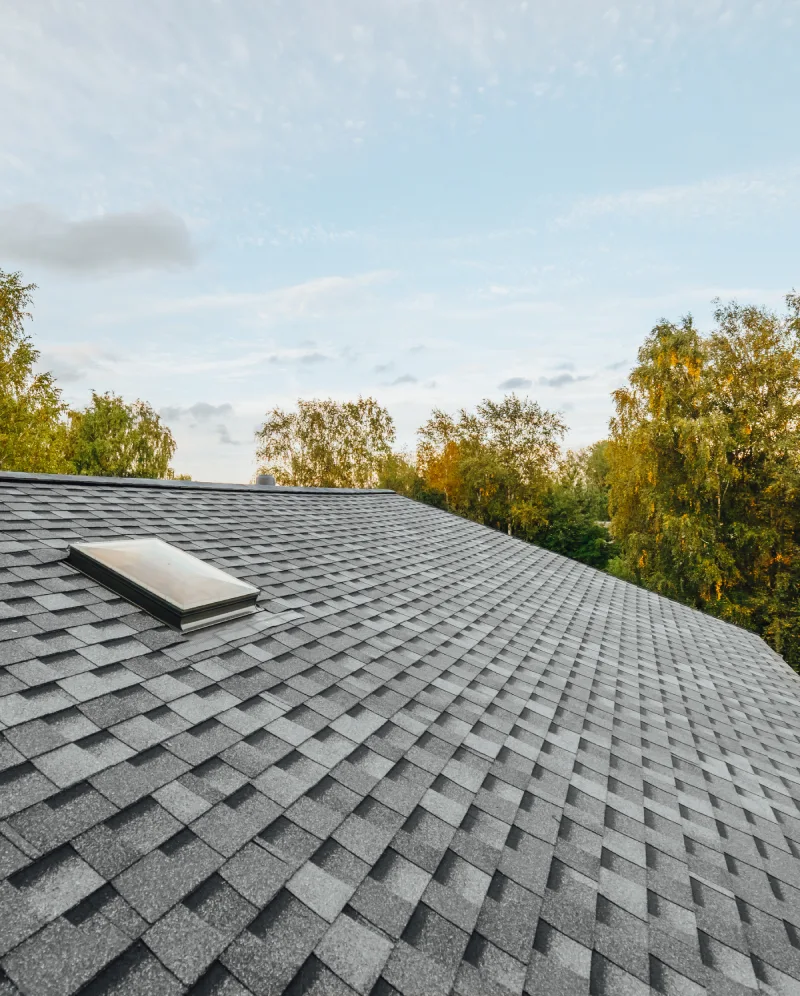 Entreprise pour Isolation Toitures Inclinées